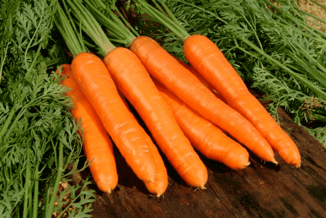 Carrots are a popular folk remedy for male potency. 